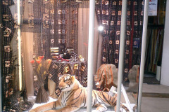 vitrine-tigre-16